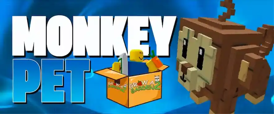 Monkey