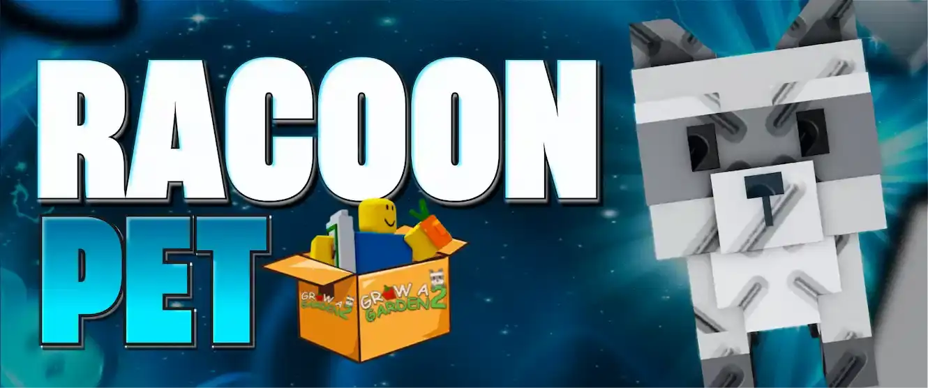 Racoon