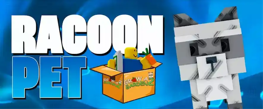 Racoon